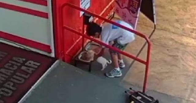 Little Boy Finds Stray Puppy And Carries Him To One Place He Knows He’ll Get Food