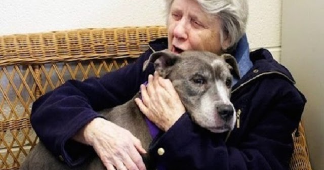 Nuns Adopt Unwanted 9-Year-Old Pit Bull From Shelter