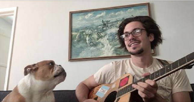 Bulldog Adorably Sings Along While His Dad Plays Guitar