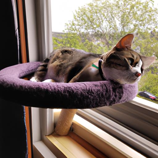 Help reduce your cat's boredom and anxiety with this secure clamp cat window hammock.