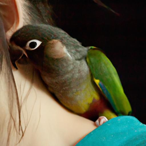 This conure loves nothing more than cuddling up with its favorite human.