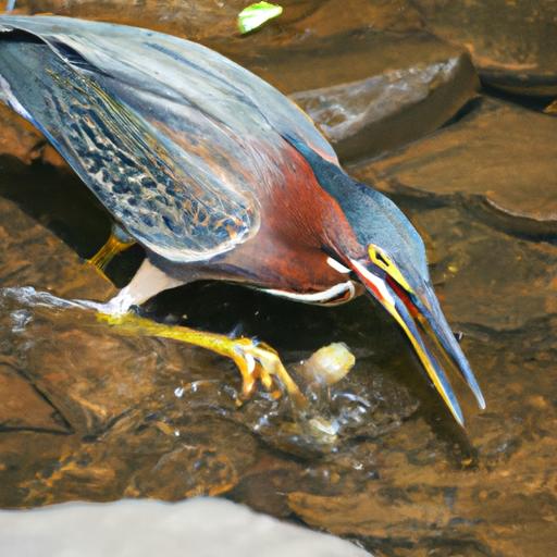 A green heron expertly snatches a fish from the water with its sharp beak.