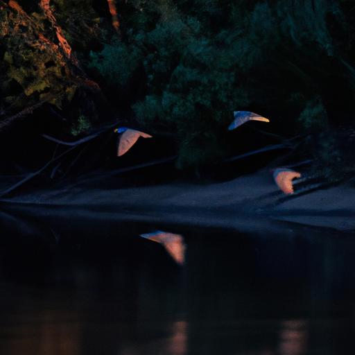 Night herons are skilled hunters and can catch fish with their sharp beaks.