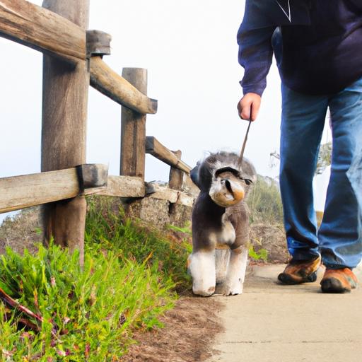 Light exercise can help senior dogs maintain their mobility and overall health