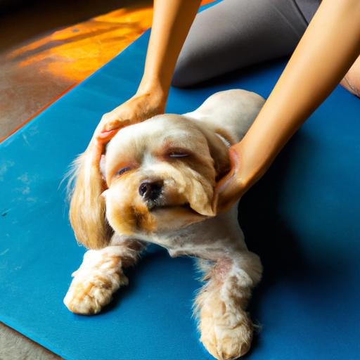 Canine Massage: A Relaxing Therapy for Your Furry Friend
