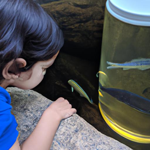 Teaching our child the importance of caring for our freshwater fish.