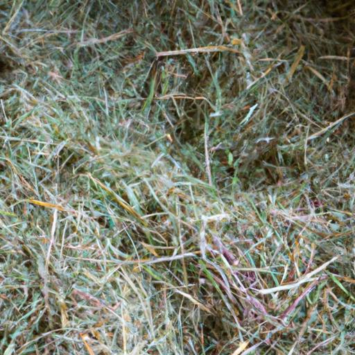 Alfalfa hay is a popular choice for farmers due to its high nutritional value for cows