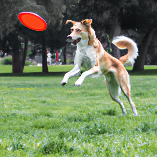 This dog is having a blast playing frisbee in the park!