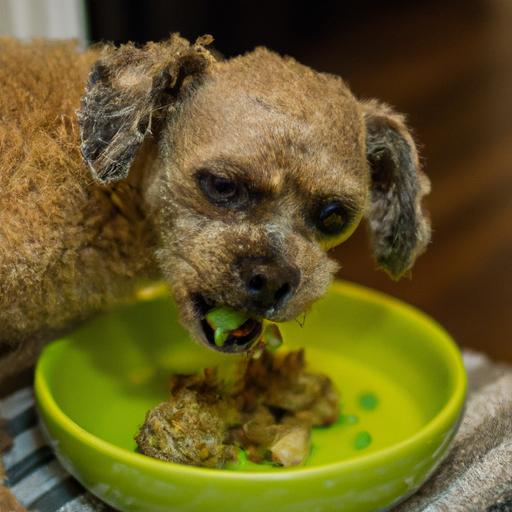 Discover easy and healthy homemade meal recipes for your Pugapoo!