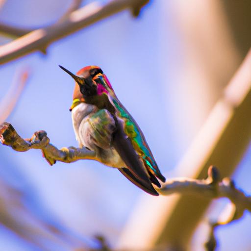 A hummingbird showing off its stunning iridescent feathers while perched on a branch.