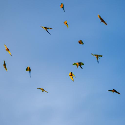 A flock of parrots taking flight in the wild, a rare sight due to habitat loss and poaching.
