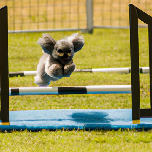 Agility training is a great way to challenge and stimulate a Pekapoo's mind and body.