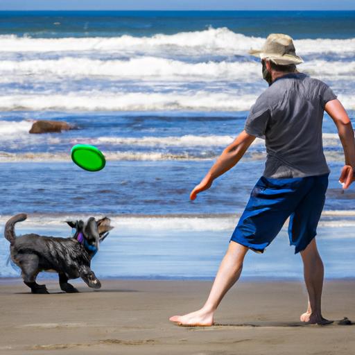 The beach is the perfect place to play frisbee with your furry friend!