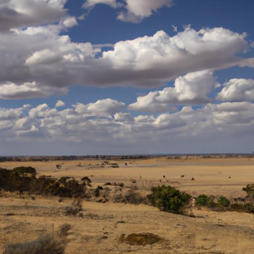 The Australian plains offer a perfect habitat for the biggest sheep to roam and grow.