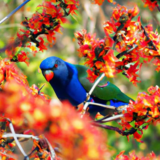 Blue lorikeets thrive in diverse habitats, such as lush rainforests and coastal regions.