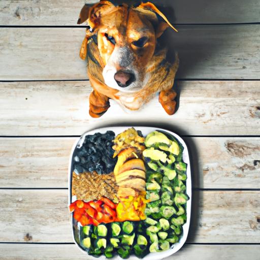 Dog Nutrition: The Key to a Healthy and Happy Pup