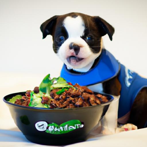 Eukanuba Puppy Small Breed