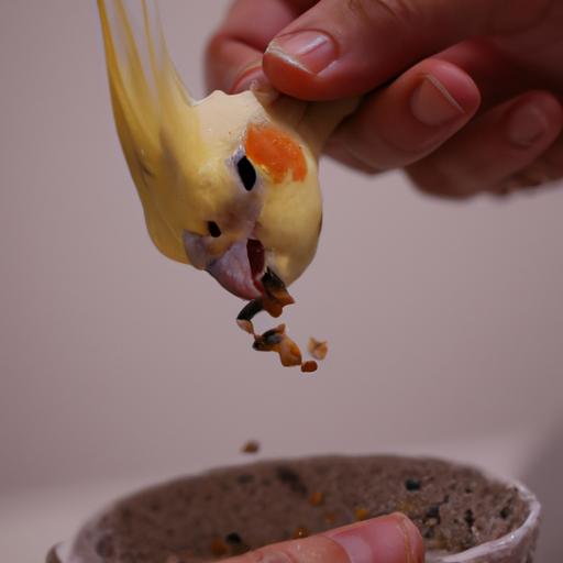 A close-up shot of a cute cockatiel happily eating a fresh fruit and vegetable mix