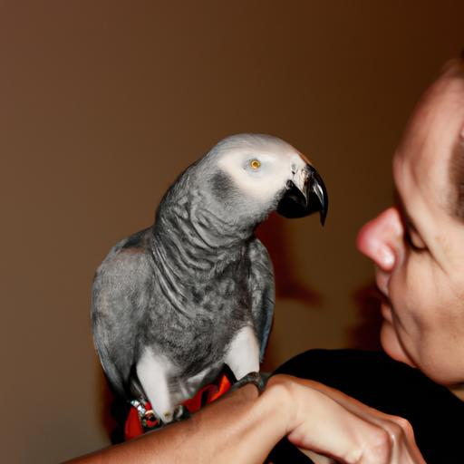 Answers to frequently asked questions about African Gray Parrots.