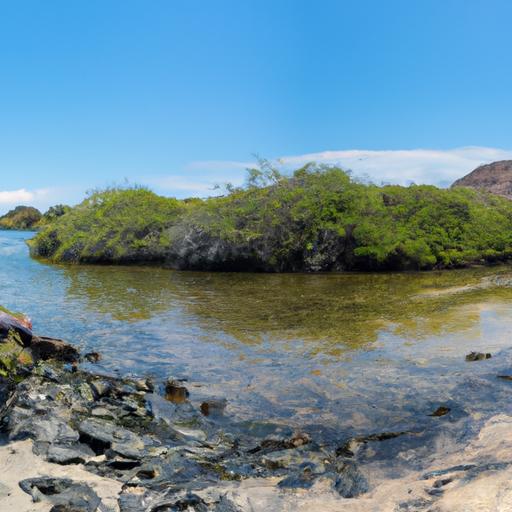 The natural habitat of Galapagos Island turtles, showcasing the lush mangrove forests and picturesque coastal waters.