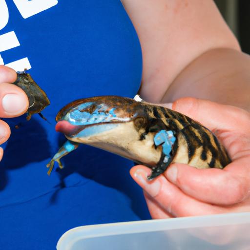 Thoroughly assessing the skink's health and condition is crucial.