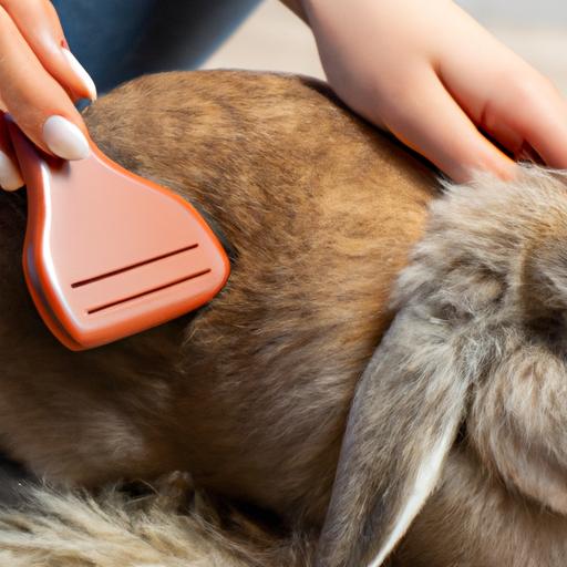 Regular grooming helps prevent rabbit flea infestations