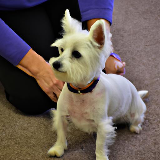 Training tiny white dogs using positive reinforcement techniques helps them become well-behaved and obedient companions.