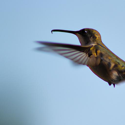 Unleashing Agility: The Adaptive Flight of the Wee Hummingbird