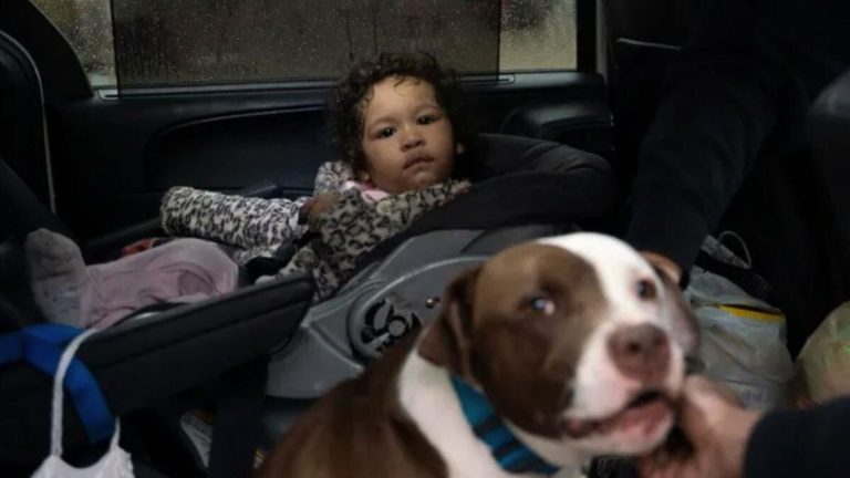 Hero Dog Wasn’t Willing To Leave The House Without 1-Year-Old Girl ...