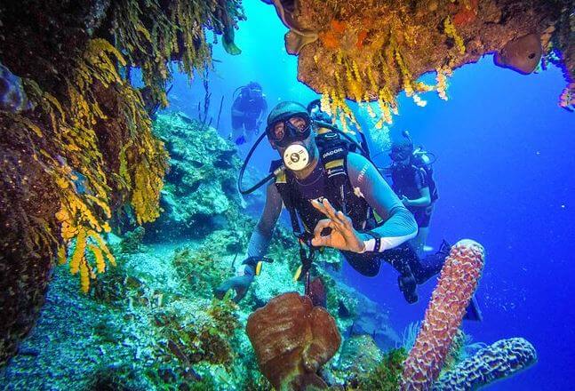 Underwater Wonders