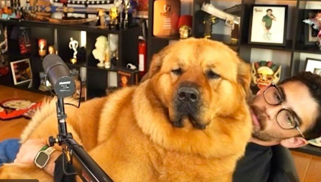 hasan piker shock collar (1)