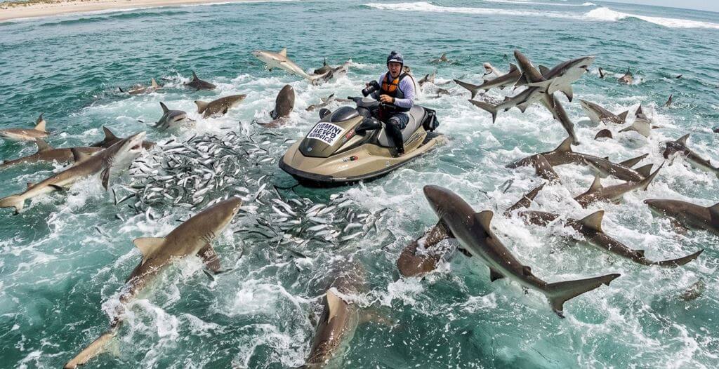 Chaos off Cape Point