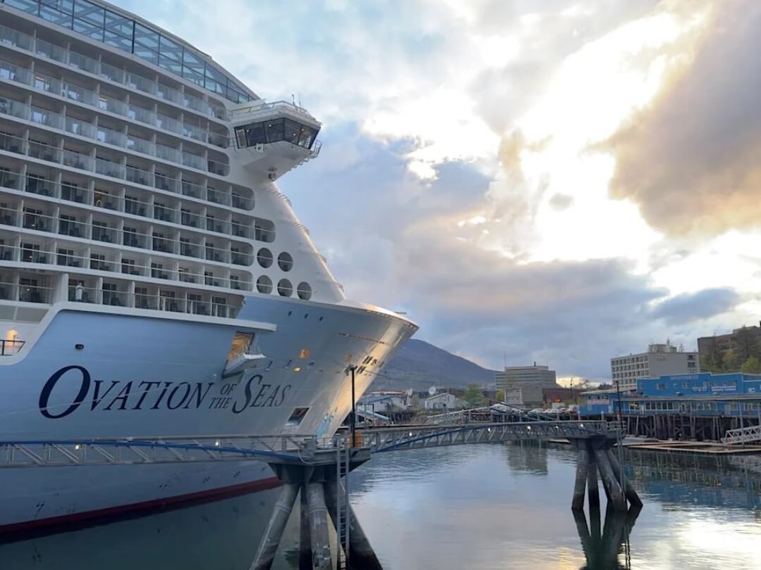 Royal Caribbean Whale Strike Alaska: Pregnant Endangered Fin Whale Found on Cruise Ship Bow