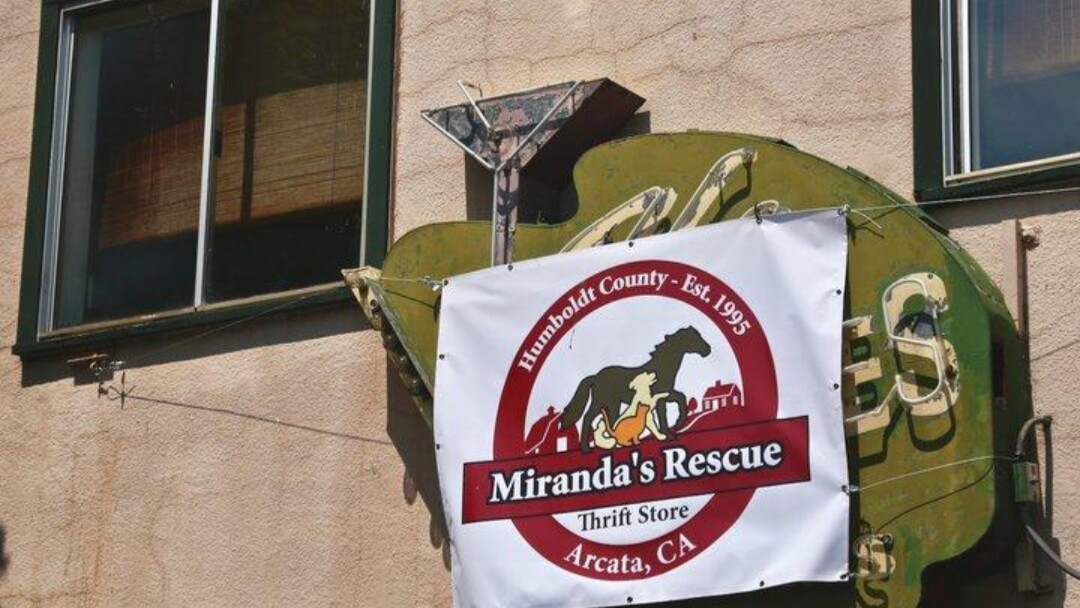 Humboldt County Sheriff's investigators executing a search warrant at Miranda's Rescue.