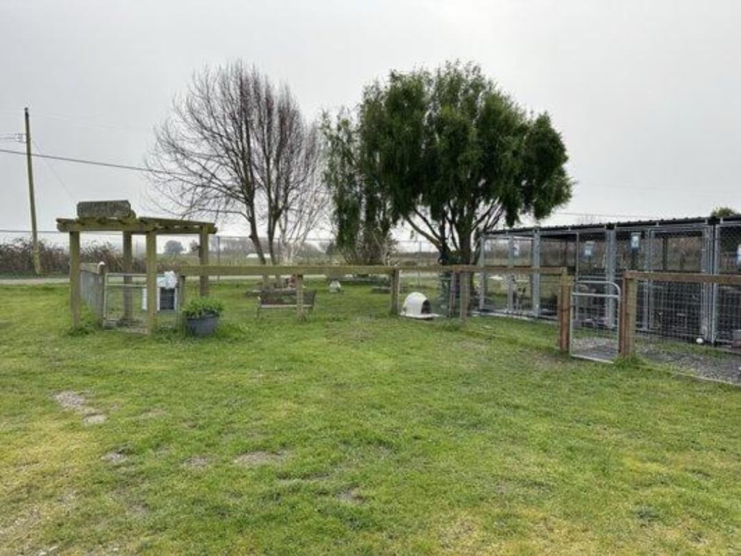 Miranda's Rescue property in Fortuna, California, during the ongoing investigation.